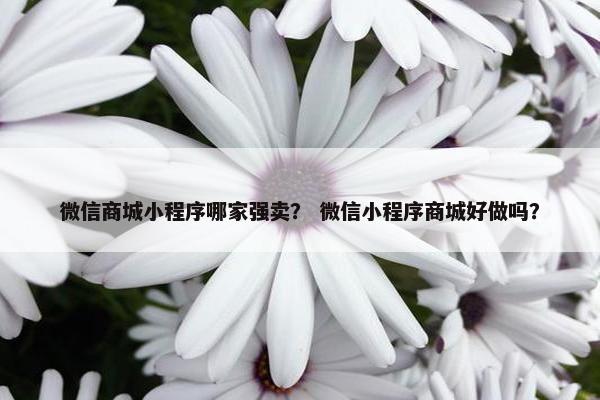 微信商城小程序哪家强卖？ 微信小程序商城好做吗？