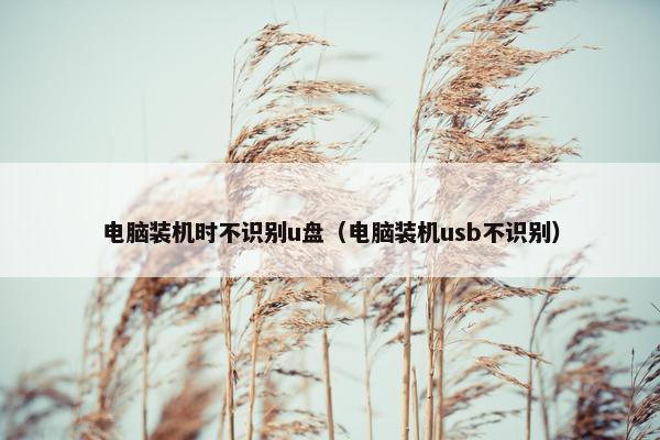 电脑装机时不识别u盘（电脑装机usb不识别）