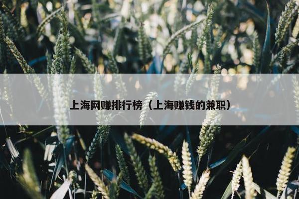 上海网赚排行榜（上海赚钱的兼职）