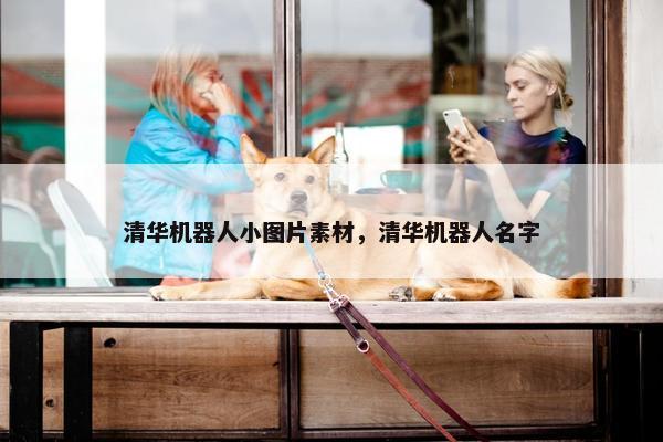 清华机器人小图片素材，清华机器人名字