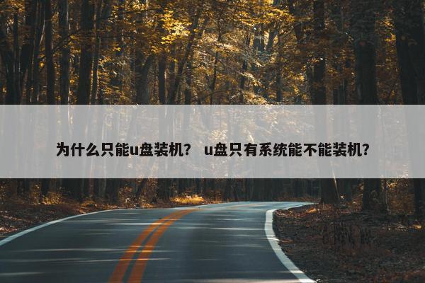 为什么只能u盘装机？ u盘只有系统能不能装机？