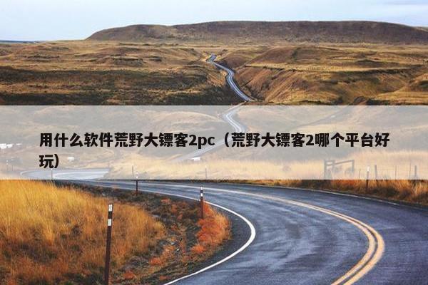 用什么软件荒野大镖客2pc（荒野大镖客2哪个平台好玩）