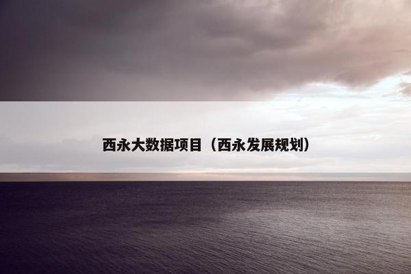 西永大数据项目（西永发展规划）