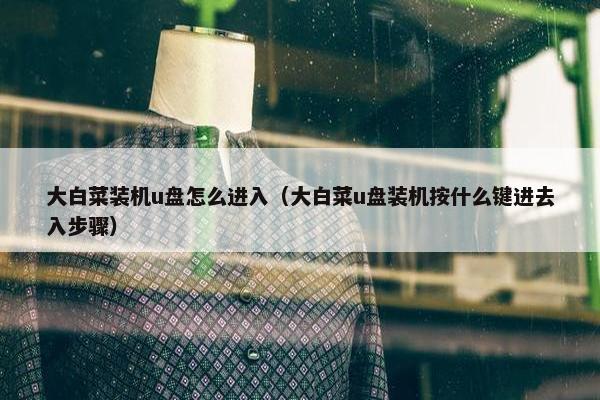 大白菜装机u盘怎么进入（大白菜u盘装机按什么键进去入步骤）