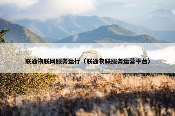 联通物联网服务运行（联通物联服务运营平台）