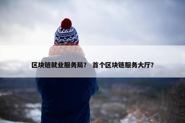 区块链就业服务局？ 首个区块链服务大厅？