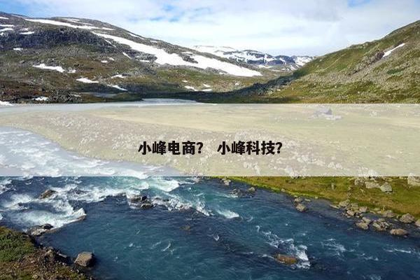 小峰电商？ 小峰科技？