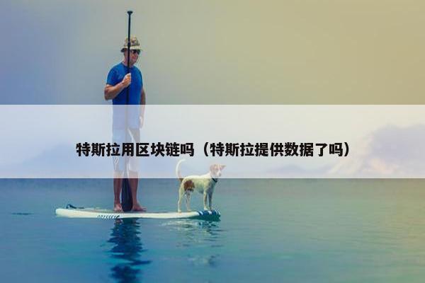 特斯拉用区块链吗（特斯拉提供数据了吗）
