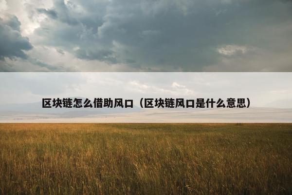 区块链怎么借助风口（区块链风口是什么意思）