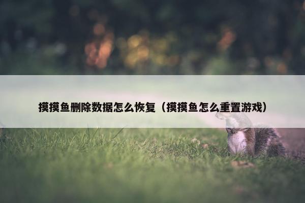 摸摸鱼删除数据怎么恢复（摸摸鱼怎么重置游戏）