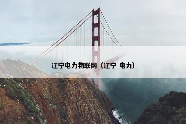 辽宁电力物联网（辽宁 电力）