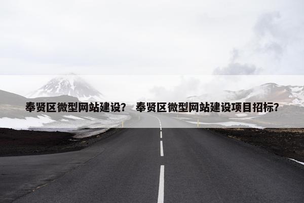 奉贤区微型网站建设？ 奉贤区微型网站建设项目招标？
