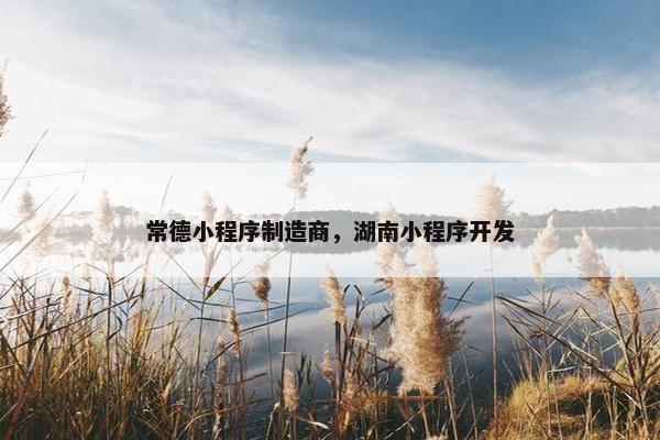 常德小程序制造商，湖南小程序开发