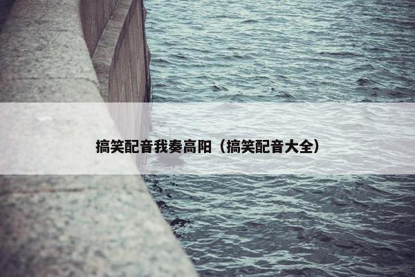 搞笑配音我奏高阳（搞笑配音大全）