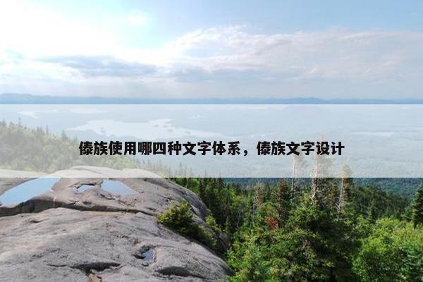 傣族使用哪四种文字体系，傣族文字设计