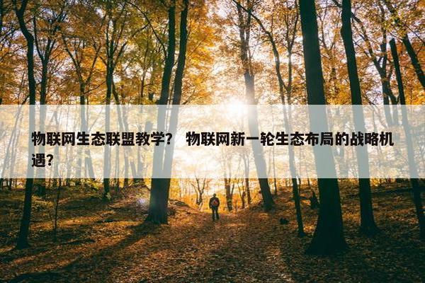 物联网生态联盟教学？ 物联网新一轮生态布局的战略机遇？