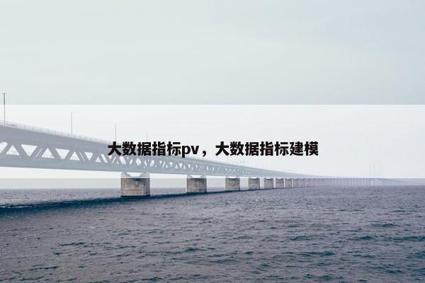 大数据指标pv，大数据指标建模