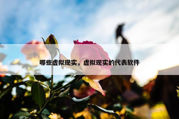 哪些虚拟现实，虚拟现实的代表软件
