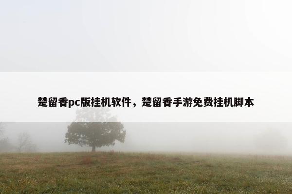 楚留香pc版挂机软件，楚留香手游免费挂机脚本
