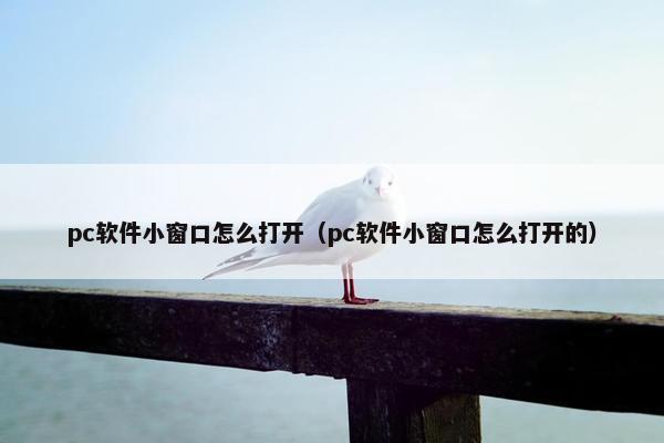 pc软件小窗口怎么打开（pc软件小窗口怎么打开的）