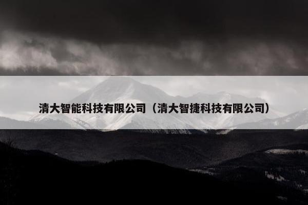 清大智能科技有限公司（清大智捷科技有限公司）