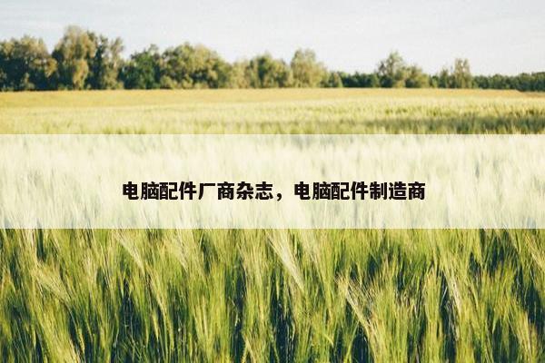 电脑配件厂商杂志，电脑配件制造商