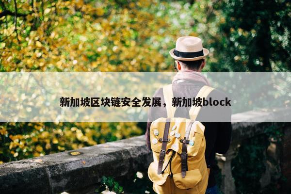 新加坡区块链安全发展，新加坡block