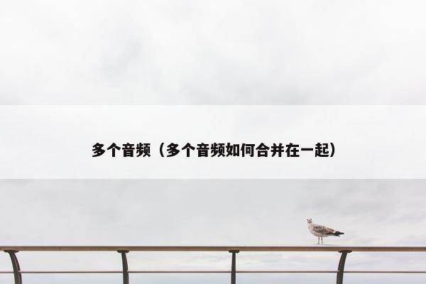 多个音频（多个音频如何合并在一起）