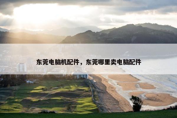 东莞电脑机配件，东莞哪里卖电脑配件