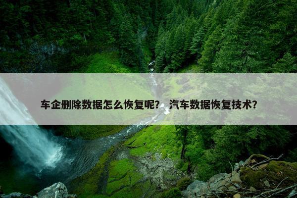 车企删除数据怎么恢复呢？ 汽车数据恢复技术？