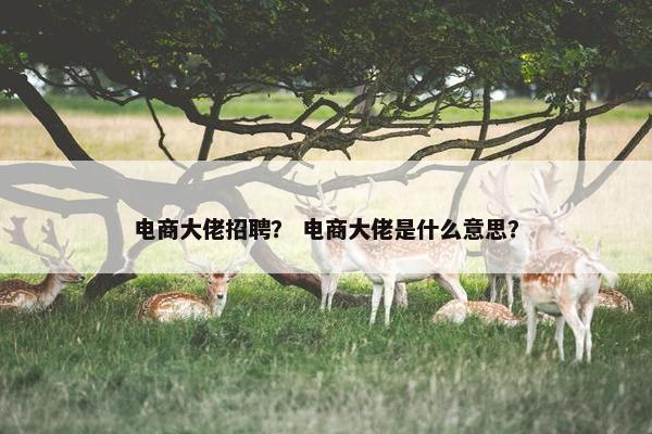 电商大佬招聘？ 电商大佬是什么意思？