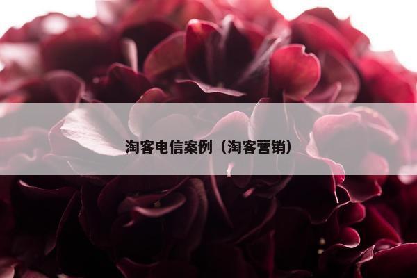 淘客电信案例（淘客营销）