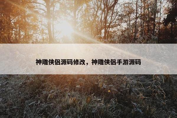 神雕侠侣源码修改，神雕侠侣手游源码