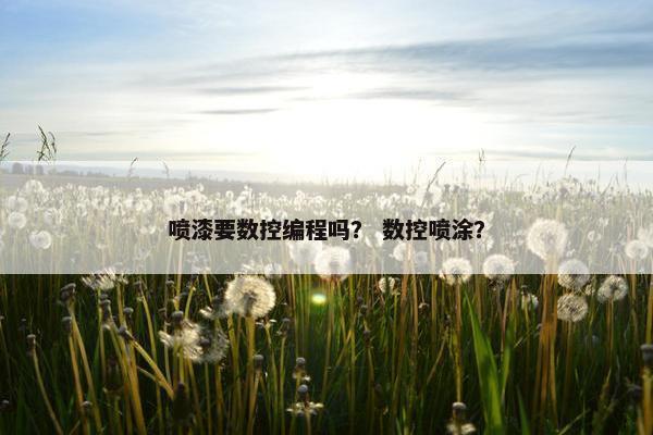 喷漆要数控编程吗？ 数控喷涂？