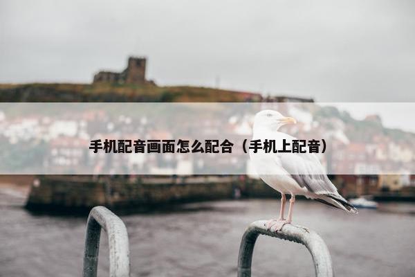 手机配音画面怎么配合（手机上配音）