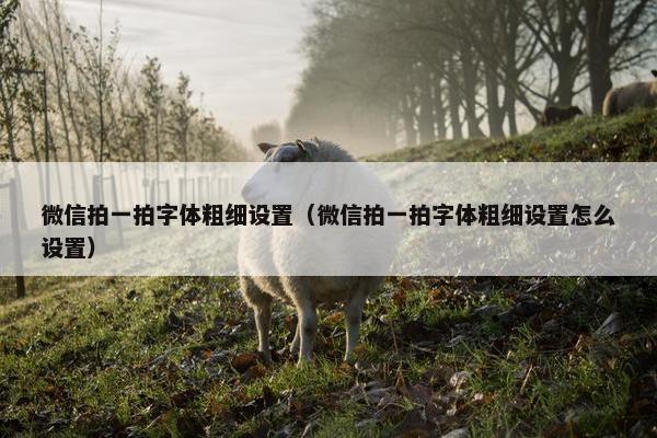微信拍一拍字体粗细设置（微信拍一拍字体粗细设置怎么设置）