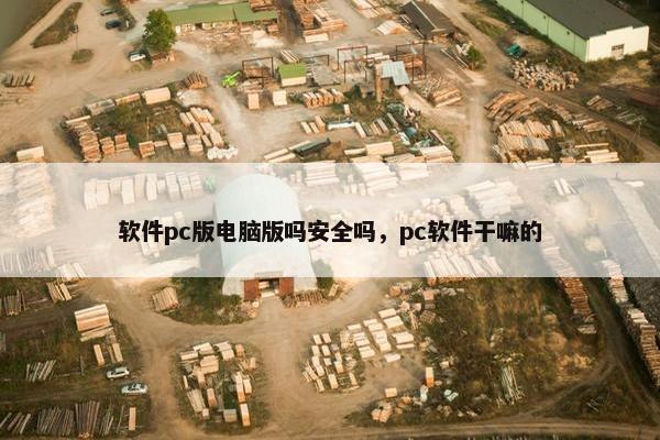 软件pc版电脑版吗安全吗，pc软件干嘛的