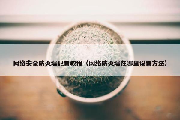 网络安全防火墙配置教程（网络防火墙在哪里设置方法）