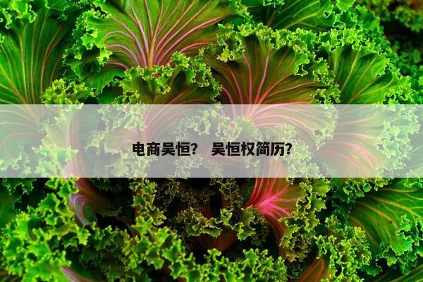 电商吴恒？ 吴恒权简历？