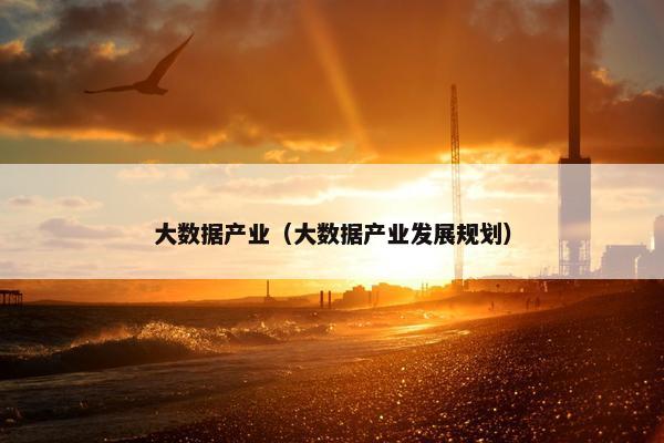 大数据产业（大数据产业发展规划）