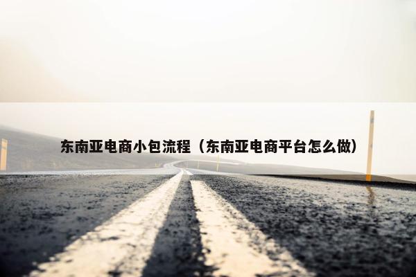 东南亚电商小包流程（东南亚电商平台怎么做）