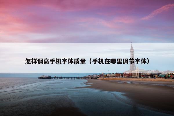 怎样调高手机字体质量（手机在哪里调节字体）