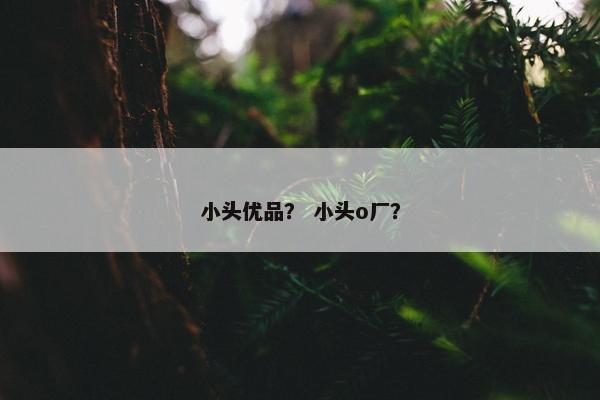 小头优品？ 小头o厂？