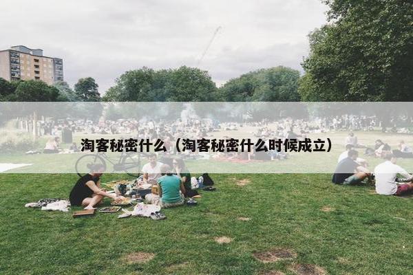 淘客秘密什么（淘客秘密什么时候成立）