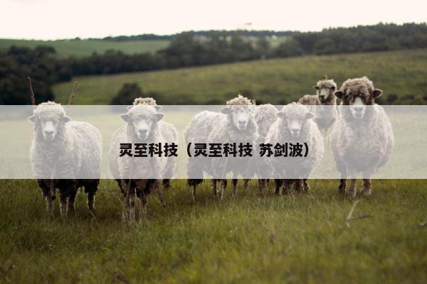 灵至科技（灵至科技 苏剑波）