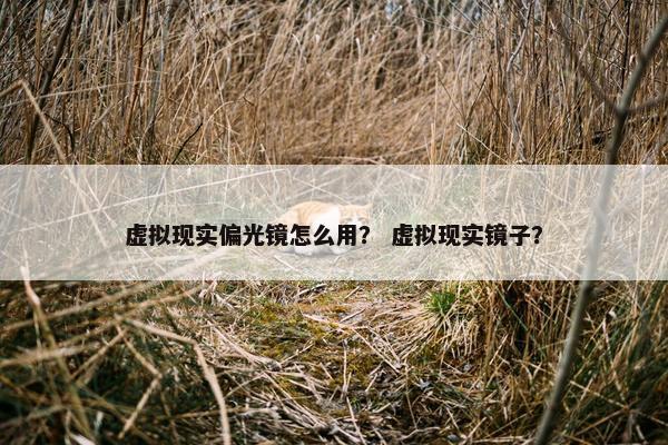 虚拟现实偏光镜怎么用？ 虚拟现实镜子？
