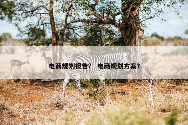 电商规划报告？ 电商规划方案？