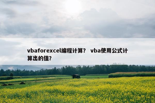 vbaforexcel编程计算？ vba使用公式计算出的值？
