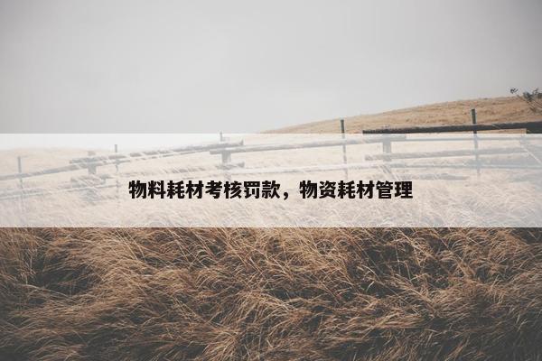 物料耗材考核罚款，物资耗材管理