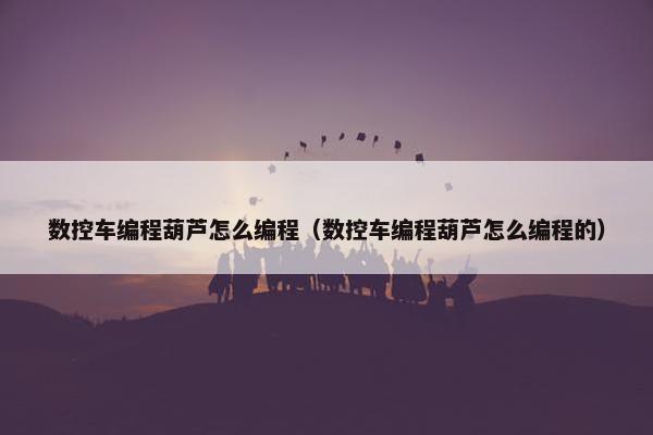 数控车编程葫芦怎么编程（数控车编程葫芦怎么编程的）
